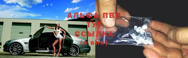 спиды Абаза